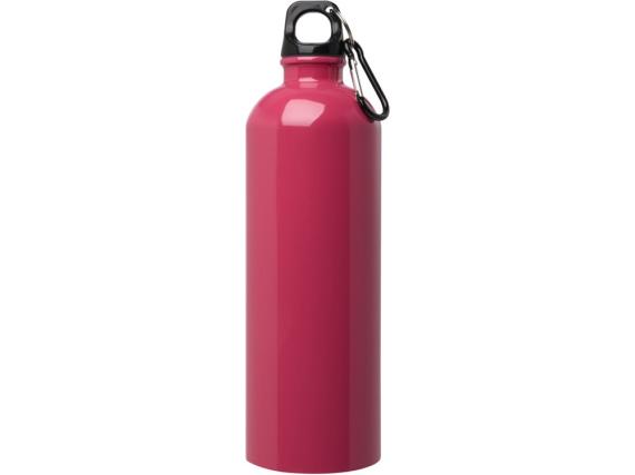 Одностенная бутылка для воды с карабином «Oregon», 750 мл