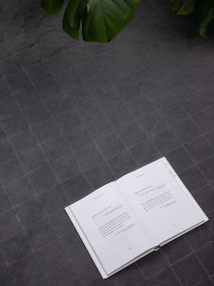 Плед для пикника Soft & Dry 2, серый