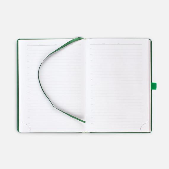 Ежедневник Favor Gold, недатированный, ярко-зеленый
