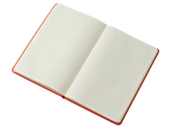 Блокнот в твердой обложке A5 «Виспи» в клетку