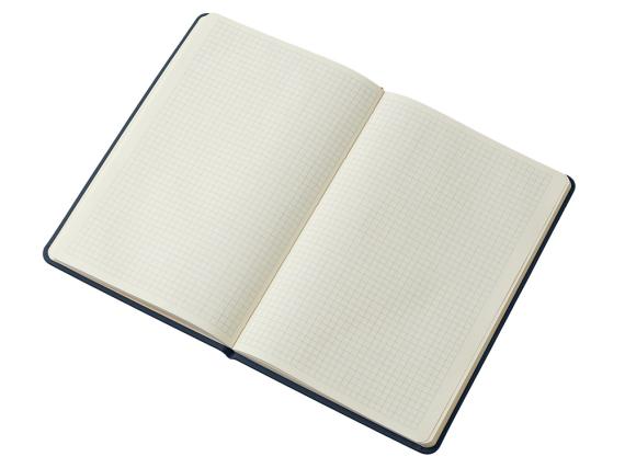 Блокнот в твердой обложке A5 «Виспи» в клетку